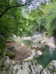 Изпълнителите на вятърната енергия призовават за край на „злонамерената“ ценова конкуренция