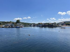 Savills rakes in highest takings so far this year at second November auction