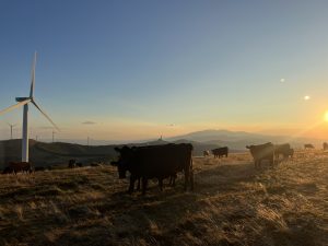 Langham Estate set to unveil 50 Eastcastle Street refurbishment