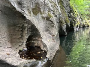 Китай подновява споразумението за валутен суап с Нова Зеландия