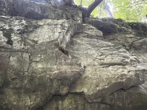 DDRE Global bolsters its team with wave of new hires