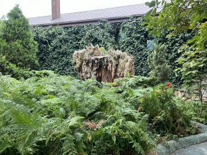 Фабриката на ZEISS Vision в Гуанджоу се присъединява към Global Lighthouse Network