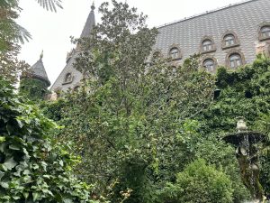 Savills appoints Elliott as director of strategic client solutions