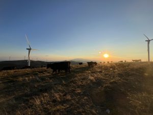 LondonMetric reaping rewards of focus on ‘winning sectors’ as rental income rises