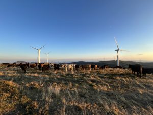 Китай ще премахне допълнителните мита върху определен внос от Канада