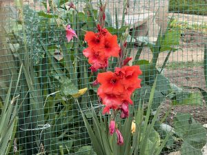 Duchy of Cornwall gets green light for 2,500-home Kent neighbourhood