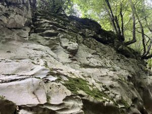 Honor отрича разговори с ByteDance за телефонно сътрудничество с Doubao AI · TechNode