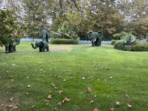 Среща с Шандонг: Симфония на живота в делтата на Жълтата река