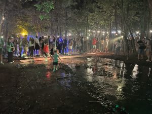 High Court nixes bid to remove east London pub tenant for resi scheme