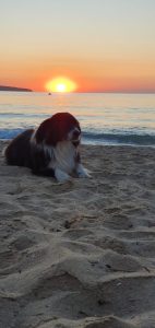 Reeves looks to introduce new ‘mansion tax’ at Autumn Budget