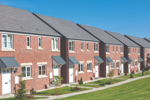 Knight Frank appoints Colliers’ Dane to London capital markets team