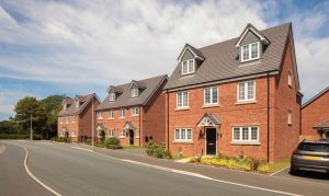 Government to build solar on public land in bid to decouple electricity and gas prices