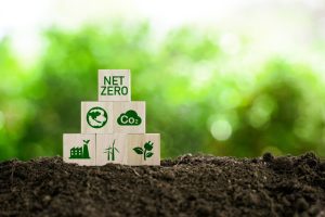 Knight Frank announces five promotions across ESG teams