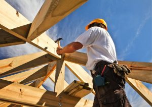 Birchgrove appoints new chief growth officer from US