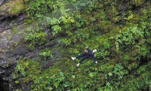 Измамите с възстановяване на средства, управлявани от AI, стимулират обажданията за по-силна защита на електронната платформа