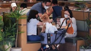 Changan Automobile се обединява с CATL, за да внедри автомобили с натриево-йонни батерии през 2026 г. · TechNode