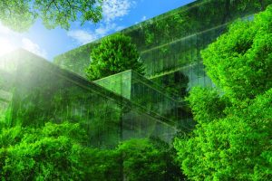 Sustainability still key for investors despite ESG pushback, study finds