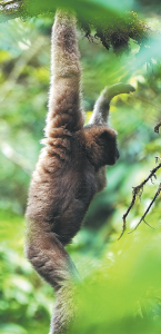 Anthropic expands into new offices in London’s Knowledge Quarter