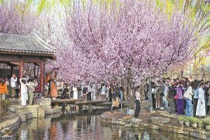 История на разцвета на Пекин