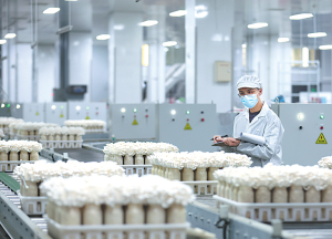 Интелигентно отглеждане на гъби в Чънду